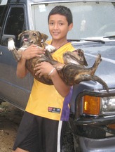 Boy carrying Dog_cropped 2